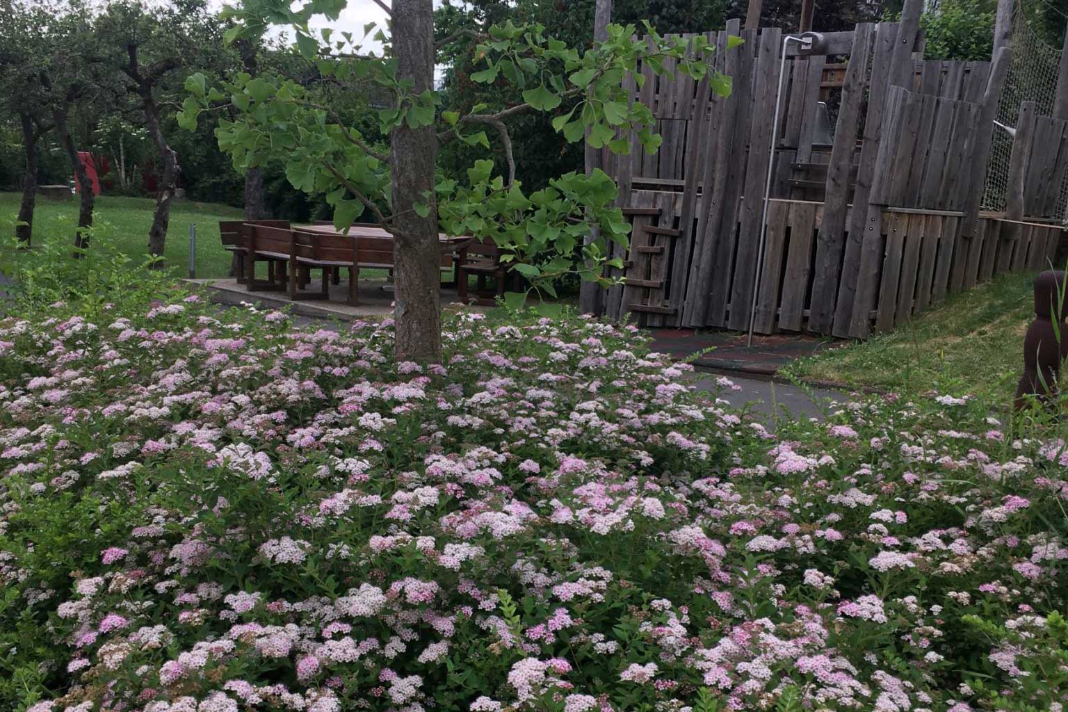 Weiß-rosa Blütenmeer vor Sitzgruppe und Spielplatz in Garten der ESTA