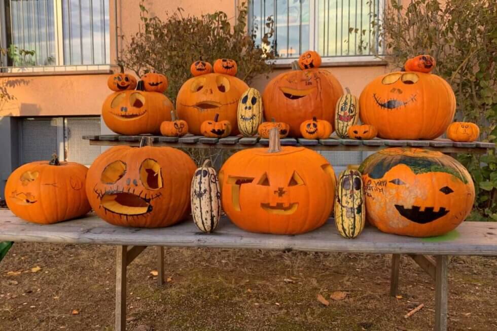 #Halloween steht vor der Tür 🎃🎃🎃