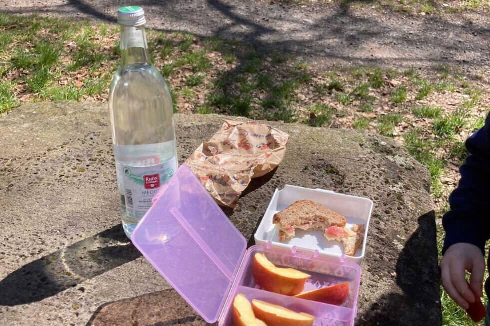 Picknick